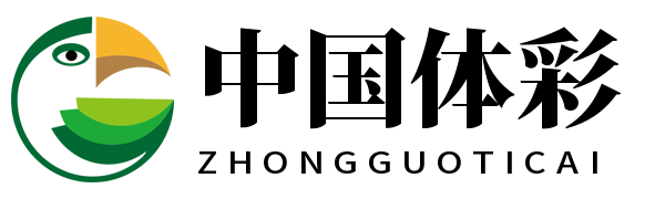 中国体彩 中国体彩